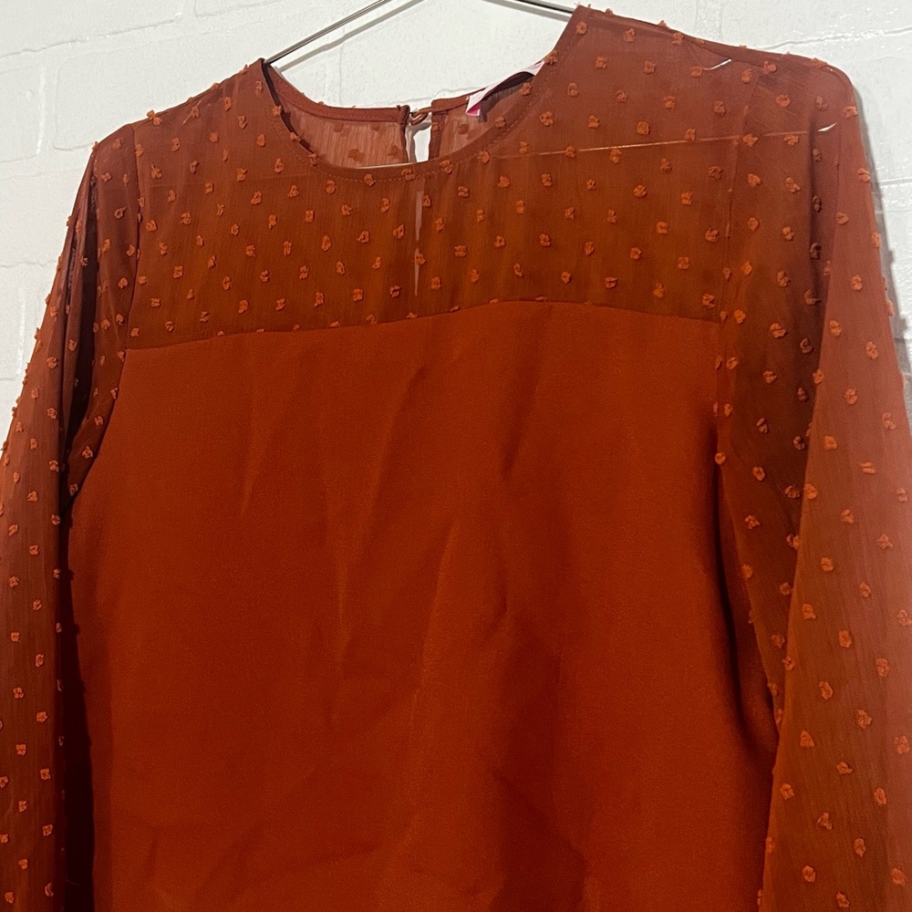 Pink Lily Womens Top Burnt Orange Sheer Balloon Sleeve Fall Long Sleeve Small - Picture 2 of 8